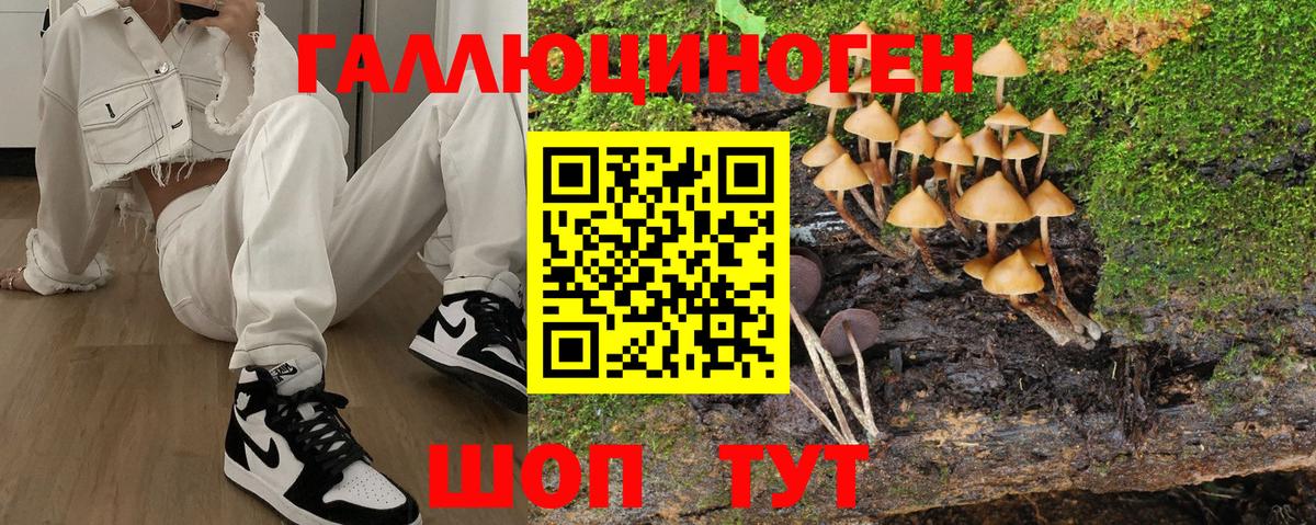 Псилоцибиновые грибы Cubensis  купить   Горячий Ключ  Вход с VPN 