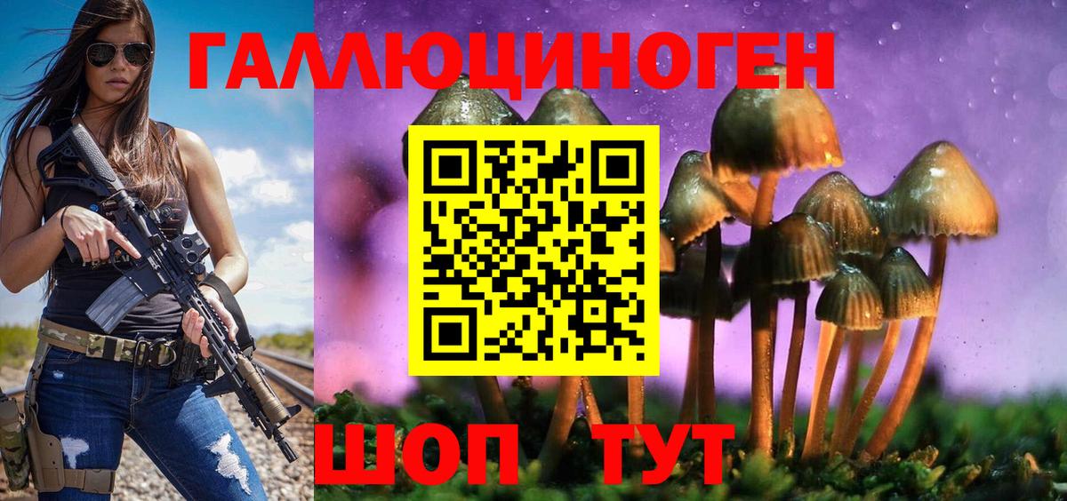 Псилоцибиновые грибы ЛСД Горячий Ключ